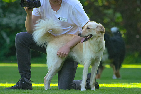 Hundewiese Eickhorst