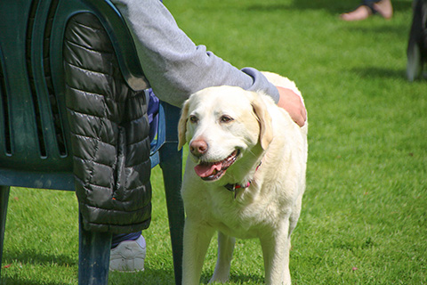 Hundewiese Eickhorst