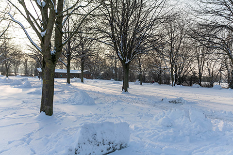 Hundewiese Eickhorst