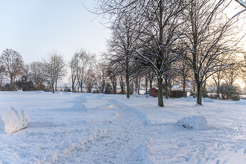 Hundewiese Eickhorst