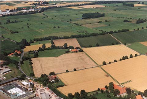 Hundewiese Eickhorst