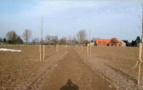 Hundewiese Eickhorst