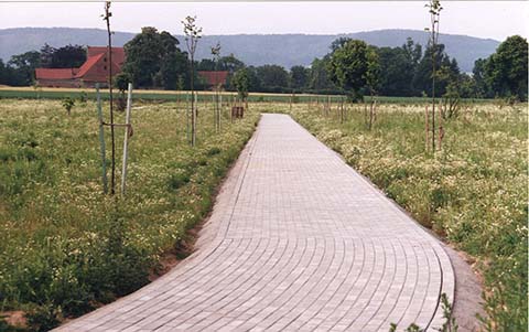 Hundewiese Eickhorst