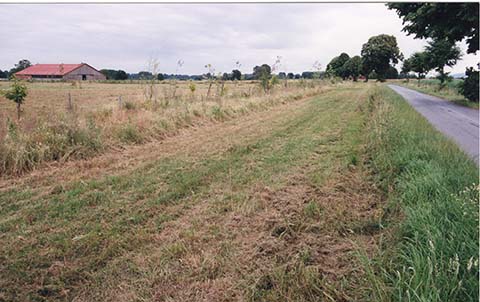 Hundewiese Eickhorst