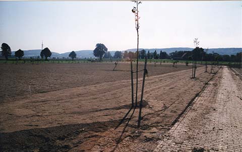 Hundewiese Eickhorst