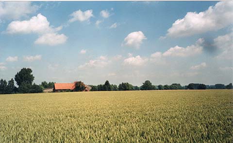 Hundewiese Eickhorst