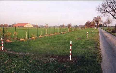 Hundewiese Eickhorst