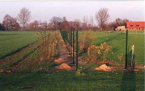 Hundewiese Eickhorst