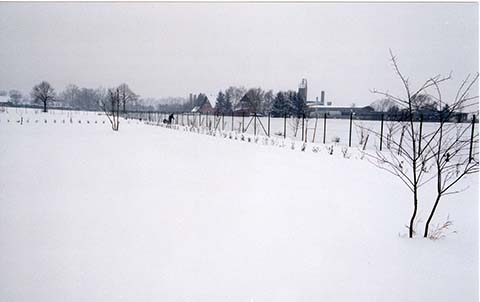 Hundewiese Eickhorst
