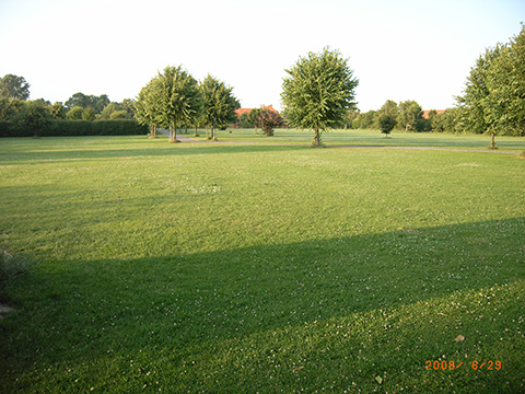 Hundewiese Eickhorst