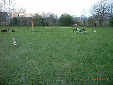 Hundewiese Eickhorst