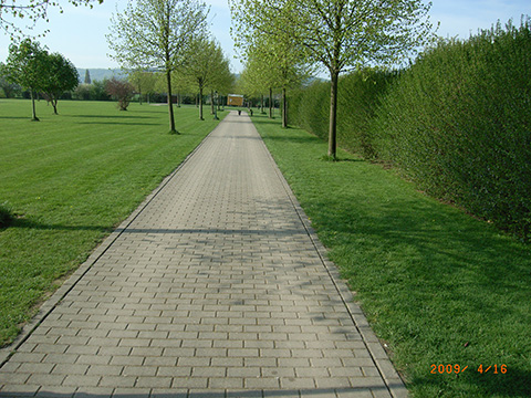 Hundewiese Eickhorst
