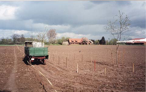 Hundewiese Eickhorst