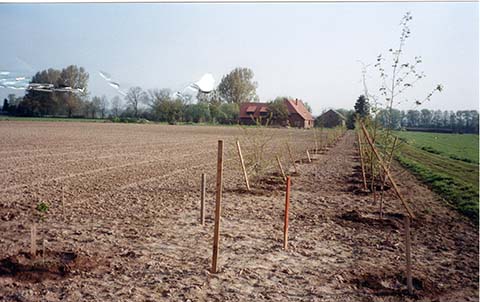 Hundewiese Eickhorst