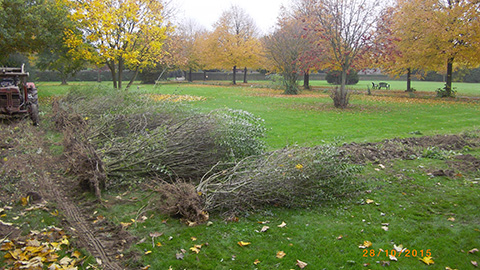 Hundewiese Eickhorst