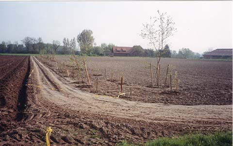 Hundewiese Eickhorst